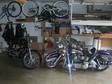 1992 Harley Davidson Softail (Custom)