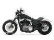 new 2007 Harley-Davidson XL 1200N Nightster