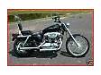 HarleyDavidson Sportster SPORTSTER CUSTOM SPORTSTER CUSTOM 1200 XL 1200C X