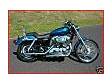 HarleyDavidson Sportster SPORTSTER CUSTOM SPORTSTER CUSTOM 1200 XL 1200C X