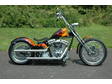 2009 Custom Built 110