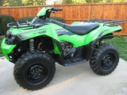 2009 Kawasaki Brute Force