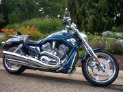 2005 Harley-Davidson VRSCSE Screaming Eagle V-Rod CVO