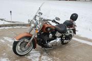 2008 Harley-Davidson Softail