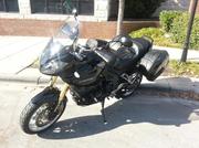 2008 Triumph Tiger