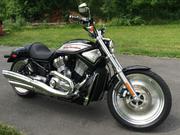 2005 - Harley-davidson V-Rod  VRSCB