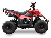 New Youth 110cc ATV Icebear Pah-110R2 With Reverse